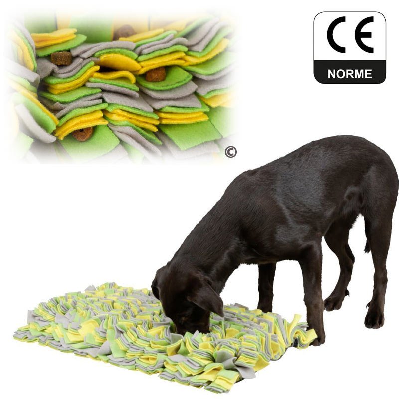 Tapis A Renifler Pour Chien Tapis De Fouille Pour Chien Pas Cher