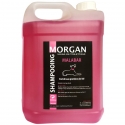 Shampooing protéiné Malabar 5litres